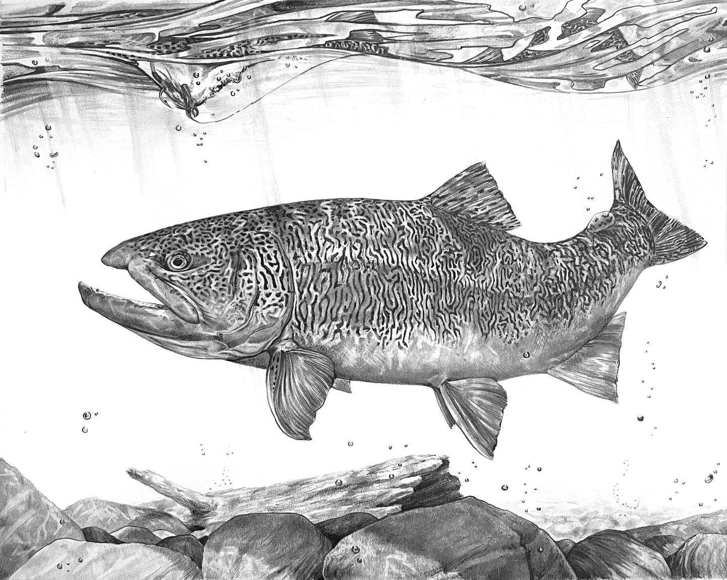 "Eye of the Tiger" Paper Print